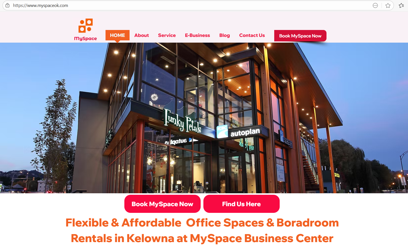MySpace Business Centre - Web development project showcase