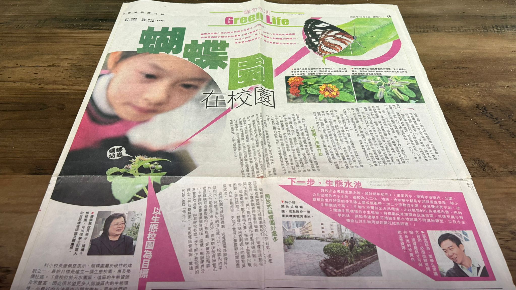 Butterfly Gardens & School Ecosystems